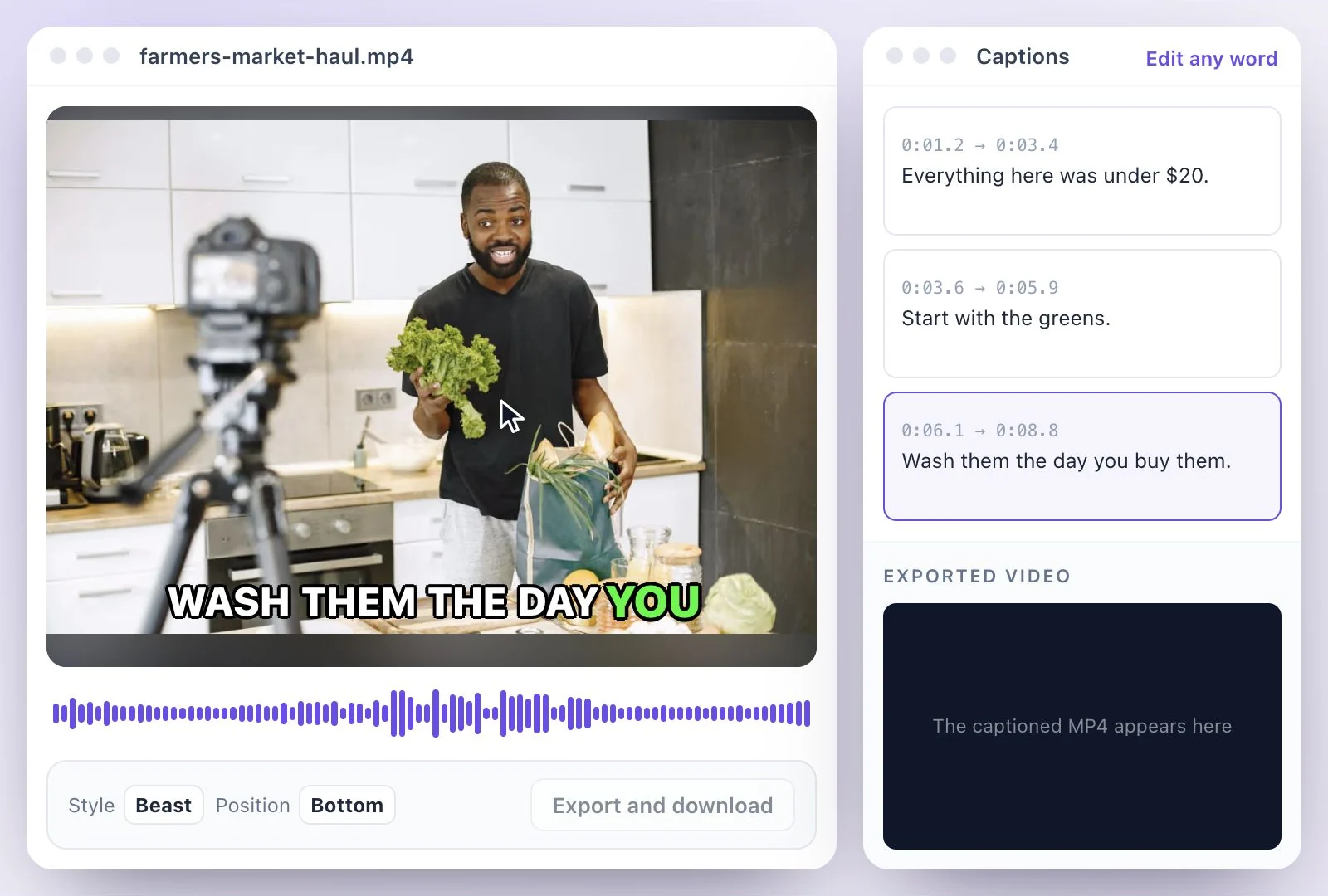 Captions appearing word by word on the video, each line timed in the list beside it