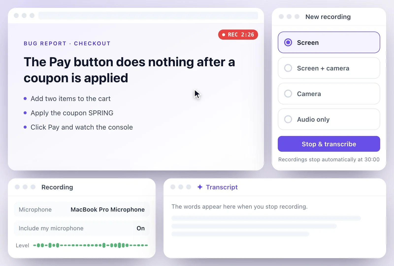 A screen recording of a bug report in progress, with the timer running