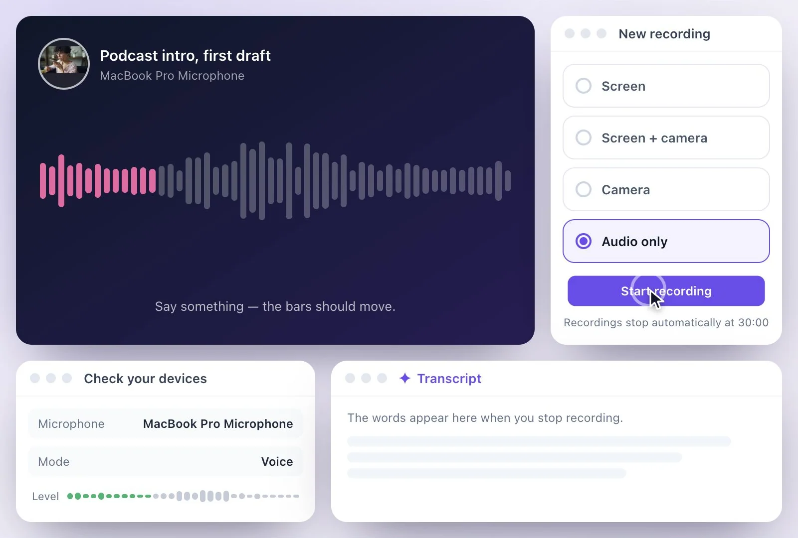 The recorder set to Voice, with the microphone level bars
