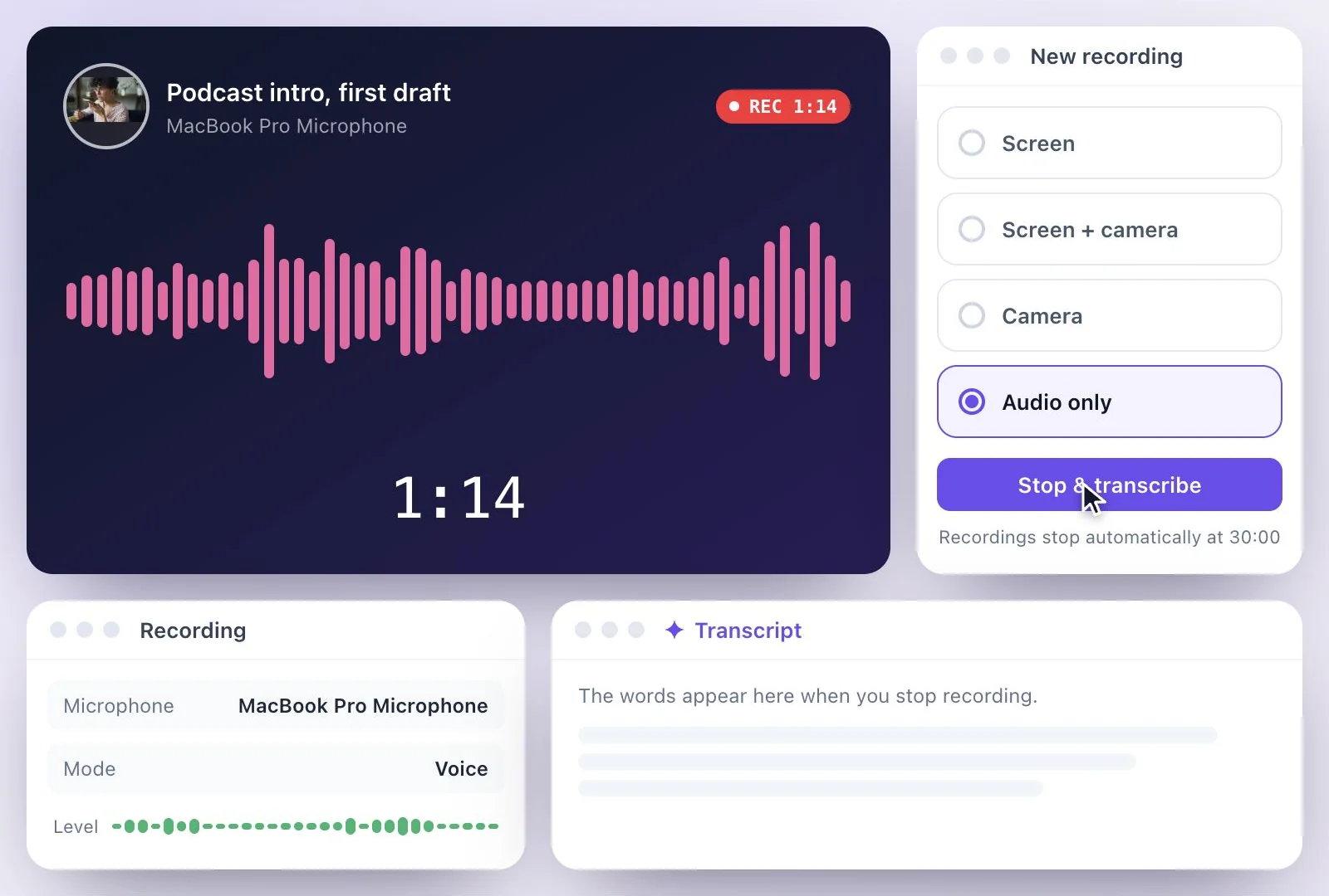 A voice recording in progress with the level bars and the timer